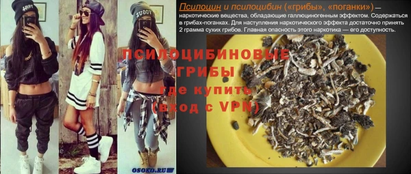 PSILOCYBIN Алексин