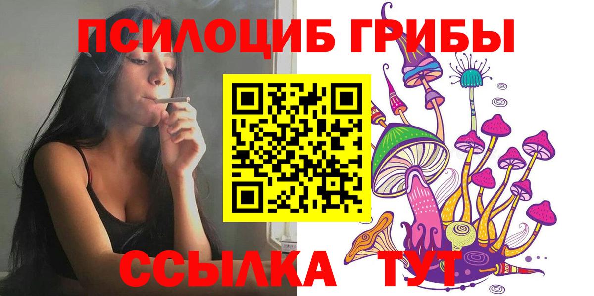 Кудрово  Псилоцибиновые грибы Magic Shrooms  Вход с VPN 