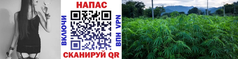 купить наркотики сайты  Кудрово  Канабис планчик 